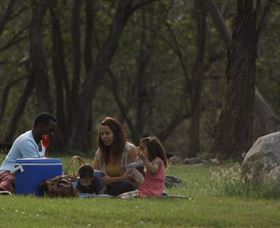 Corin Forest Mountain Resort - Tourism Search 0