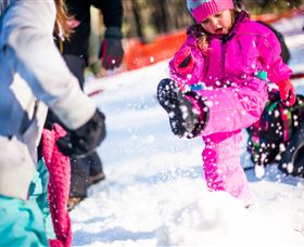 Corin Forest Mountain Resort - Tourism Search 3
