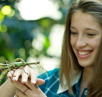 CSIRO Discovery Centre - Tourism Search