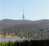 Black Mountain Peninsula - Tourism Search