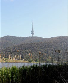 Black Mountain Peninsula - Tourism Search 0