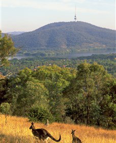 Canberra Centenary Trail - Tourism Search 0