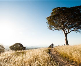 Canberra Centenary Trail - Tourism Search 1