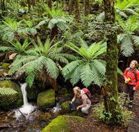 Baw Baw National Park - Tourism Search