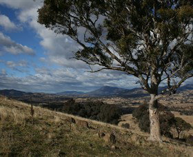 University Of Melbourne ACT Tourism Search