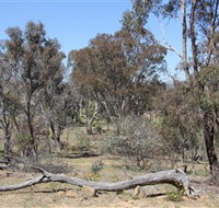 Remembrance Nature Park - Tourism Search