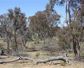Remembrance Nature Park - Tourism Search 0