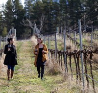 Mount Majura Vineyard - Tourism Search