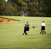 Federal Golf Club - Tourism Search