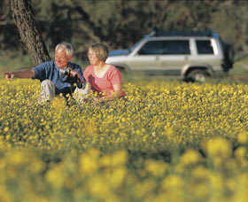 Mingenew ACT Tourism Search