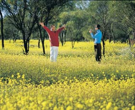 Coalseam Conservation Park - Tourism Search 2