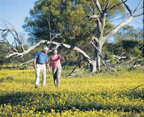Coalseam Conservation Park - Tourism Search 3
