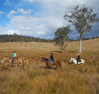 Chapman Valley Horse Riding - Tourism Search