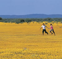 Wildflowers of the Mid West - Tourism Search