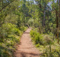 Mares Forest Creek walking track - Tourism Search