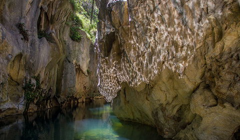 Mares Forest Creek Walking Track - Tourism Search 2