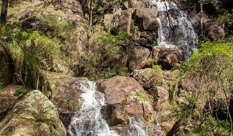 Wombeyan Waterfall Walking Track - Tourism Search 3