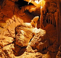 Fig Tree Cave - Tourism Search
