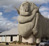 Big Merino - Tourism Search