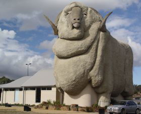 Big Merino - Tourism Search 0