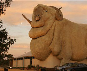 Big Merino - Tourism Search 3