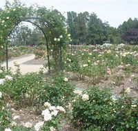 Victoria Park Rose Garden - Tourism Search