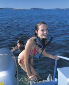 Willyung WA Tourism Search