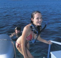 Seal Cove - Tourism Search