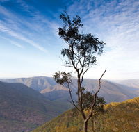 Salisbury Waters walking track - Tourism Search
