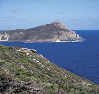 Bald Head Walking Track - Tourism Search