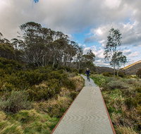 Thredbo Valley track - Tourism Search