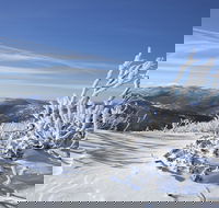 Rock Creek snowshoe track - Tourism Search