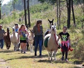 Gregors Creek QLD Tourism Search
