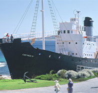 Discovery Bay Tourism Experience - Tourism Search