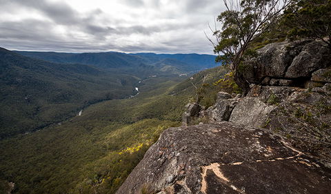 Mann River Nature Reserve - Tourism Search 2