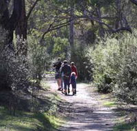 Syd's Rapids and Aboriginal Heritage Trail Avon Valley - Tourism Search