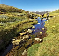 Australian Alps Walking Track - Tourism Search