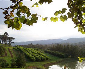 Enniskillen Orchard - Tourism Search 1