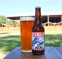 Feral Brewing Company - Tourism Search