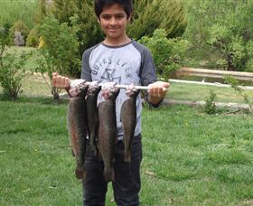 Eucumbene Trout Farm - Tourism Search 3