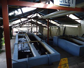 Eucumbene Trout Farm - Tourism Search 5