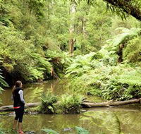 Morwell National Park - Tourism Search