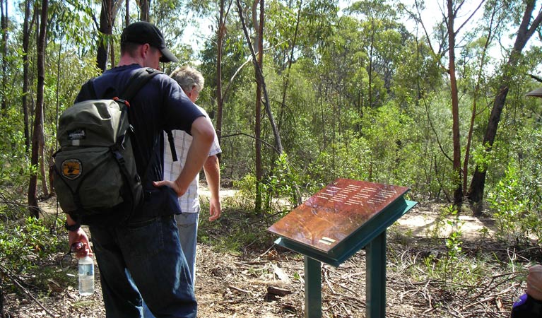 Laguna NSW Tourism Search
