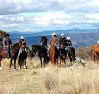 Snowy Wilderness - Tourism Search