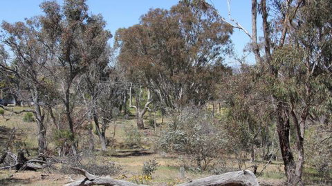 Remembrance Nature Park - Tourism Search 2