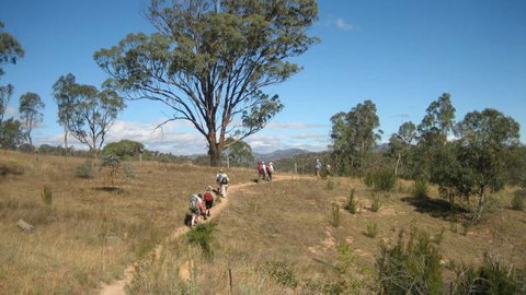 Kambah Pool To Pine Island - Tourism Search 3