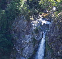 Lyrebird Falls walking track - Tourism Search