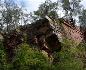 Mitchell River Walking Track - Tourism Search 2