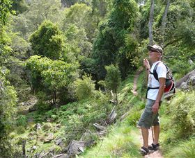 Mitchell River Walking Track - Tourism Search 1