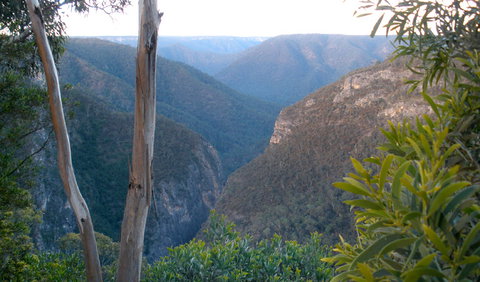 Bungonia National Park - Tourism Search 1